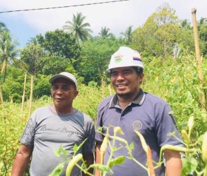 Stok Pertanian di Ternate Aman Jelang Ramadan