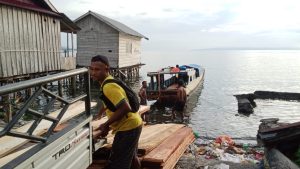 Polres Halsel Diduga Tutup Mata, Kayu Ilegal Bebas Beredar