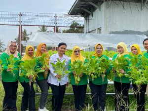 Panen Sayur Hidroponik, Warga Binaan Lapas Perempuan Ternate Dukung Ketahanan Pangan