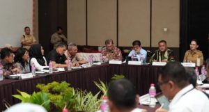 UHC Prioritas Tercapai, Pemprov Malut Genjot Kualitas Layanan dan Lapangan Kerja