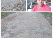 Jeritan Warga Kayoa Utara: Akses Jalan Rusak Parah, Masyarakat Minta Perhatian Serius Gubernur Sherly   