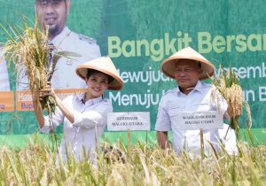 Panen Raya Gane Timur, Malut Mantapkan Langkah Swasembada Pangan