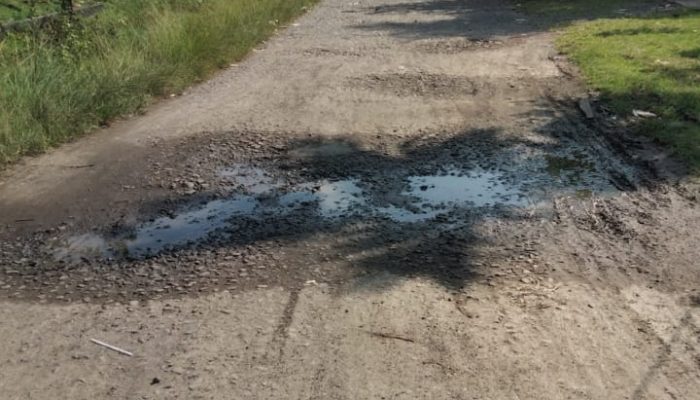 Jalan ke Puskesmas Malifut: Antara Janji dan Kenyataan Pahit