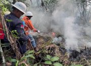 Cegah Karhutla, NHM Bersama Aparat Gelar Simulasi Kesiapsiagaan di Tambang Gosowong