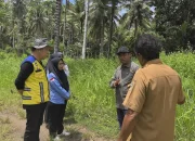 Bupati Ubaid Tinjau Lokasi Pembangunan Dapur Makan Bergizi Gratis di Wasile Utara