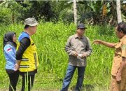 Bupati Ubaid Tinjau Lokasi Pembangunan Dapur Makan Bergizi Gratis di Wasile Utara
