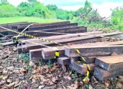 Polairud Polda Malut Segera Gelar Perkara Kasus Kayu Ilegal di Morotai