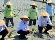 Gubernur Sherly Laos Canangkan Gerakan Tanam Padi di Haltim: Menuju Swasembada Pangan Maluku Utara
