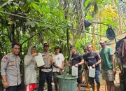 Kapolres Halteng: Produksi Miras Ilegal Tak Akan Ditoleransi