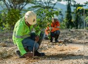 NHM Pulihkan 232,69 Hektare Lahan Bekas Tambang, Tegaskan Komitmen ESG