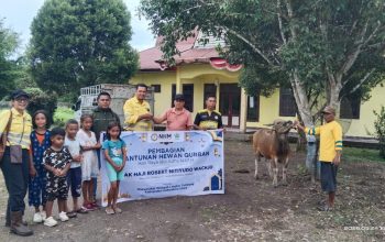 Sambut Idul Adha 1447 H, NHM Distribusikan 66 Sapi Kurban untuk Masyarakat Lingkar Tambang