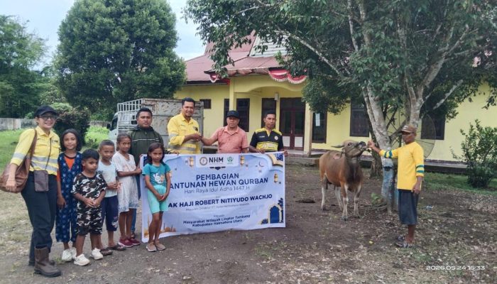 Sambut Idul Adha 1447 H, NHM Distribusikan 66 Sapi Kurban untuk Masyarakat Lingkar Tambang