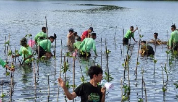 Wujud Tanggung Jawab Lingkungan, PT Position Hijaukan Pesisir Wailukum