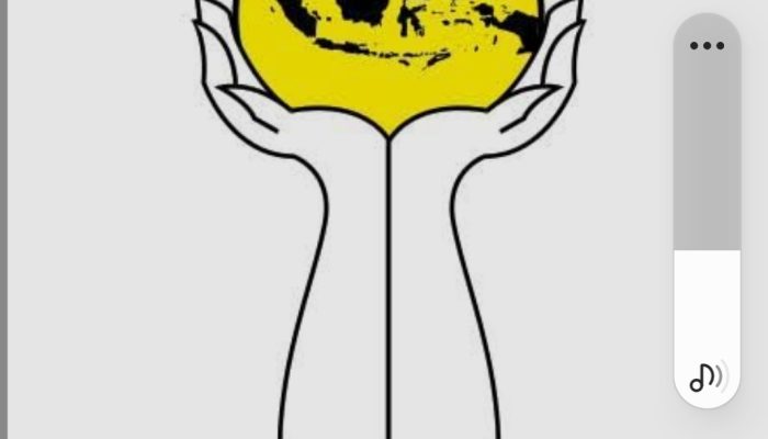 Tegaskan Prinsip Demokrasi, BPC HIPMI Malut Minta BPP Putus Hubungan dengan Pengacau