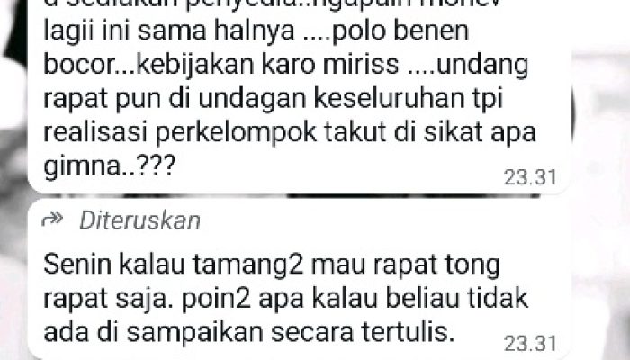 Bocoran Internal Kesra, Kebijakan Sapi Kurban Melawan Aturan, Hanya Skema Tarik Anggran