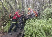 Tim ERT NHM Turun ke Dukono, Seluruh Korban Erupsi Berhasil Dievakuasi