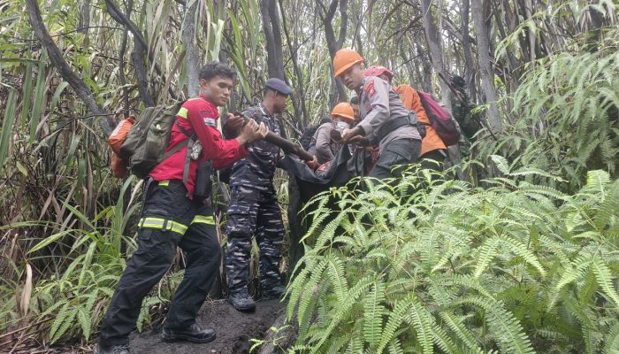 Tim ERT NHM Turun ke Dukono, Seluruh Korban Erupsi Berhasil Dievakuasi