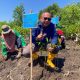 NHM dan Pemda Halut Bangun Ekonomi Hijau dari Mangrove