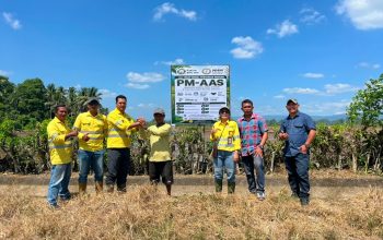 NHM Kembangkan Pertanian Modern di Kao Barat, Targetkan Produktivitas 10 Ton Padi per Hektare