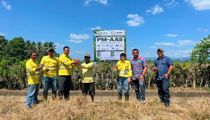 NHM Kembangkan Pertanian Modern di Kao Barat, Targetkan Produktivitas 10 Ton Padi per Hektare