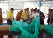 Dari Sadakah Farm, Budidaya Nila Bioflok Mulai Direplikasi Warga Soahukum