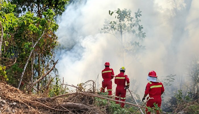 Hadapi Ancaman Karhutla, NHM Perkuat Sistem Komando dan Pemantauan di Gosowong