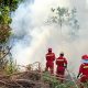 Hadapi Ancaman Karhutla, NHM Perkuat Sistem Komando dan Pemantauan di Gosowong